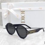Christian Dior Black Signature Sunglasses